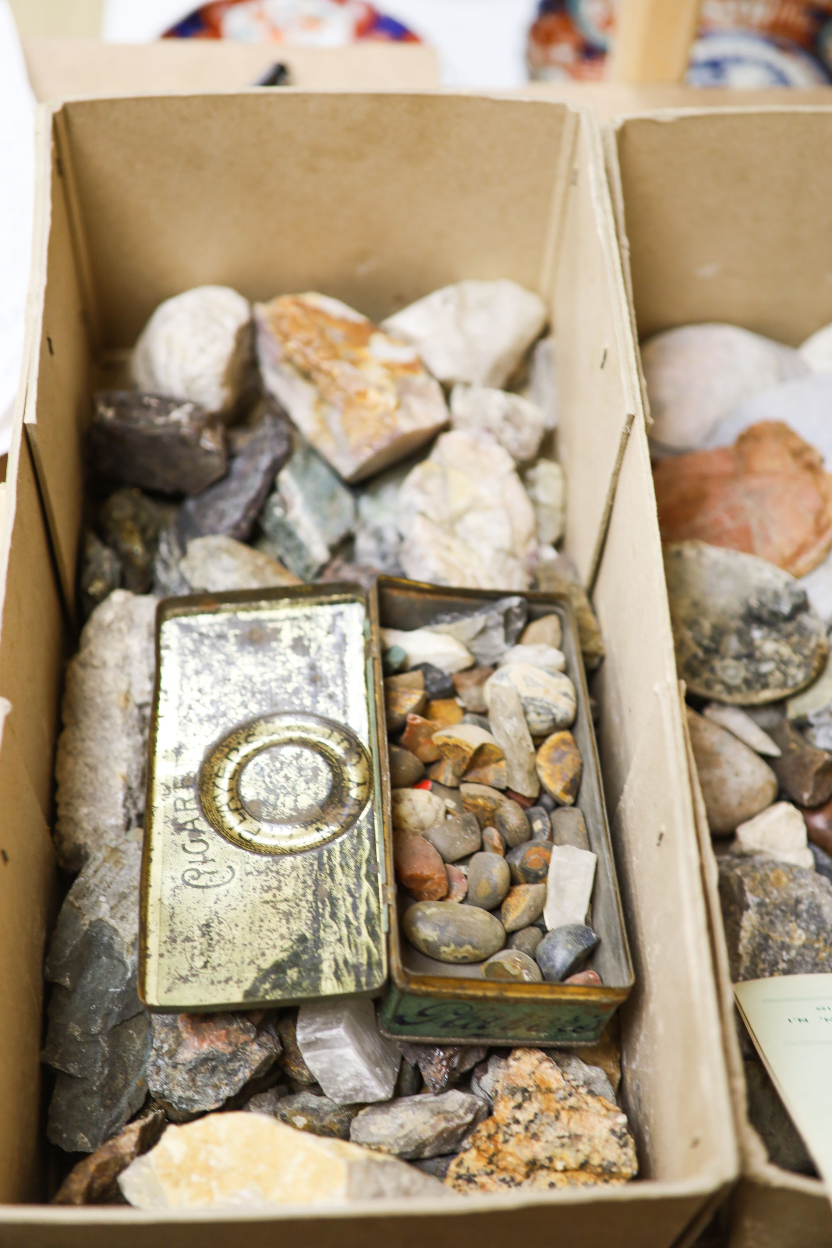 Edward Gerrard (1811-1910) & Sons - a collection of fossil specimens including a large ammonite, in two boxes